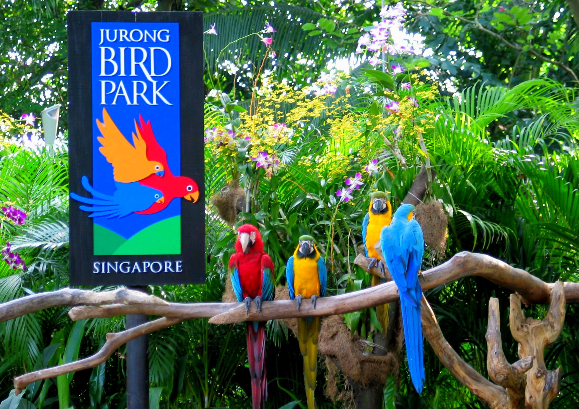 Jurong Bird Park