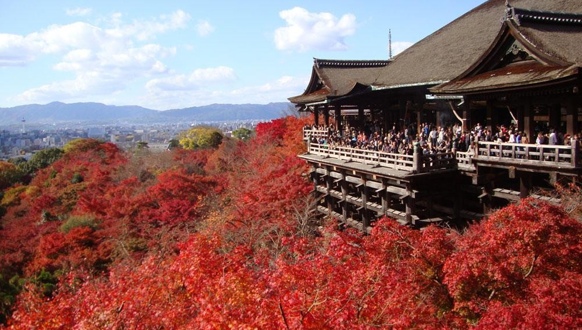 Nhật bản mùa lá đỏ