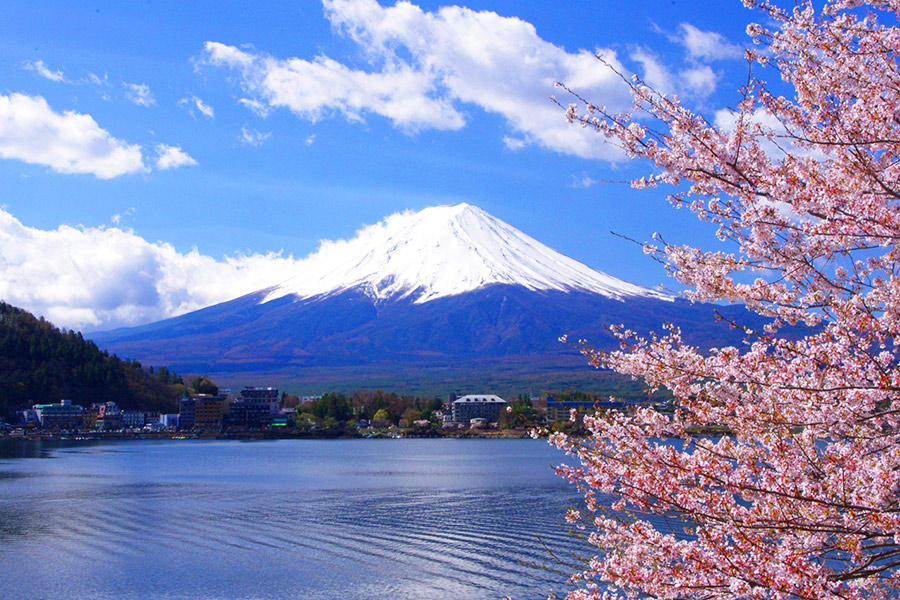 fuji san