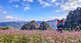 ha giang